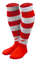 Bath Arsenal FC- Zebra Match Socks