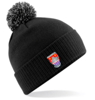 Bridgwater & Albion FC Bobble Hat