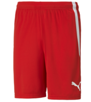 FC NORTHERN Puma Team Liga Shorts (ADULT SIZES)