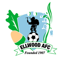 Ellwood Youth FC