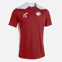 Bedminster Down FC- Championship VI T-Shirt