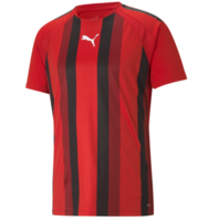 Puma Team Liga Striped Jersey