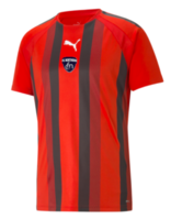 FC NORTHERN Puma Team Liga Striped Jersey (JUNIOR SIZES)