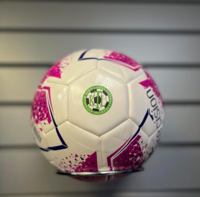PRINTED Precision Fusion Training Ball Size 5 White/Silver Pack of 20 (IN STOCK NOW)