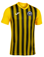 AFC Rhoose- Inter II Match Shirt (Away)