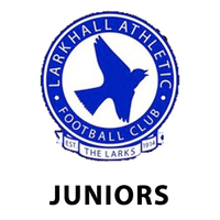 Larkhall Athletic Junior Section
