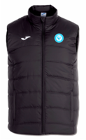 Wembdon FC Urban IV Vest (Go 1 size up - tight fit) COACHES - L, XL, 2XL OUT OF STOCK UNTIL 5/12/22