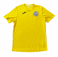 Amesbury Junior FC COMBI T-SHIRT (SMALL) (NEXT DAY DELIVERY)