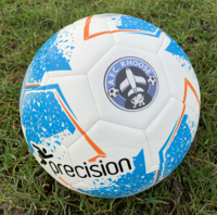 PRINTED Precision Fusion Training Ball Size 5 (IMMEDIATE DISPATCH)