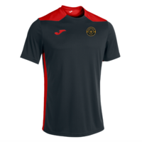 Dunwear United FC- Championship VI T-shirt