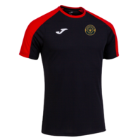 Dunwear United FC- ECO Championship VI T-shirt
