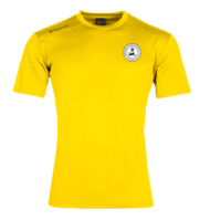 Amesbury Junior FC- Stanno Field T-shirt (YELLOW)