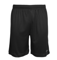 Amesbury Junior FC- Stanno Field Shorts (Black)
