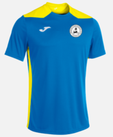 Amesbury Junior FC- Championship VI T-shirt (Home Shirt)