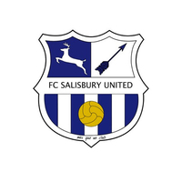FC Salisbury